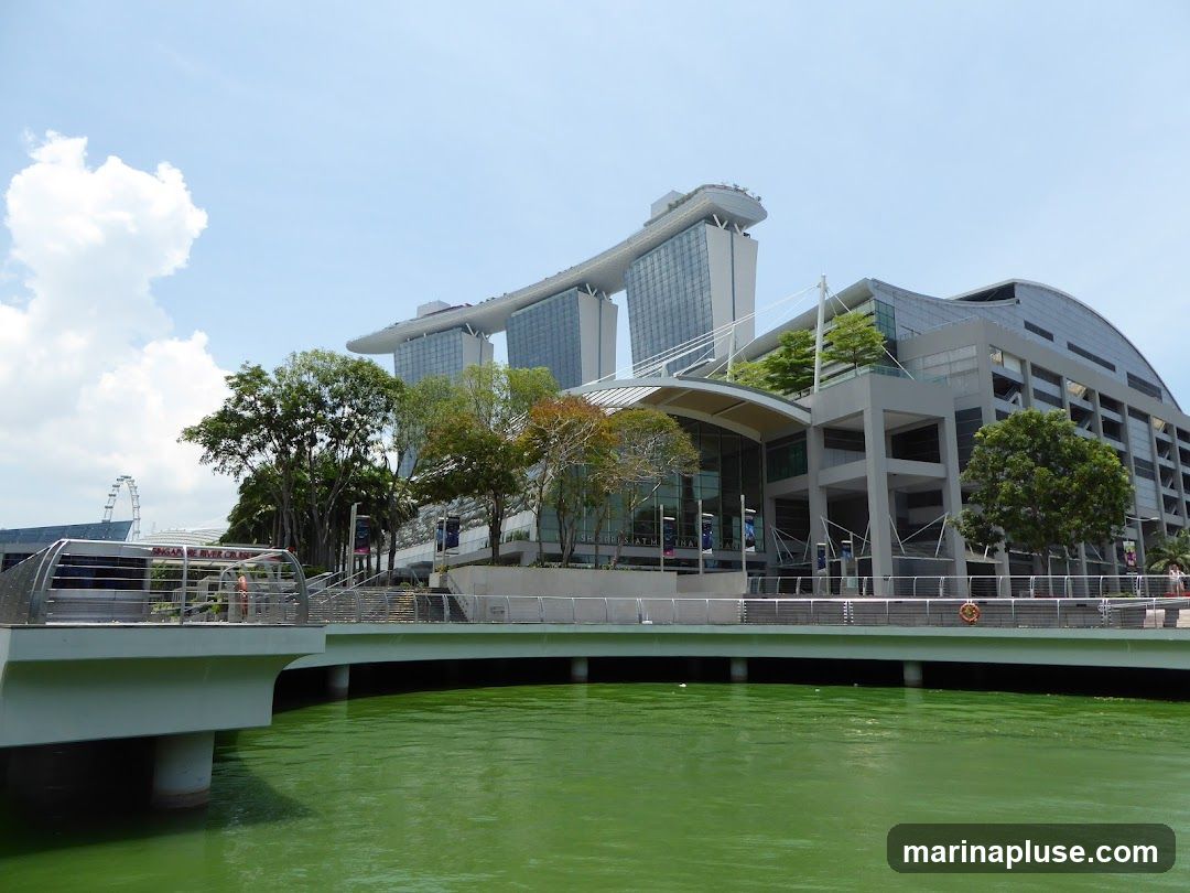 A wide shot of the Marina Bay Sands complex in Singapore, featuring the iconic three towers connected by the SkyPark, and the convention center in the foreground. The buildings are set against a bright blue sky with scattered clouds. Lush green trees and vegetation surround the structures. A body of green water is visible in the foreground, with a walkway and railing separating it from the buildings. A Ferris wheel can be seen in the distance on the left side of the image.