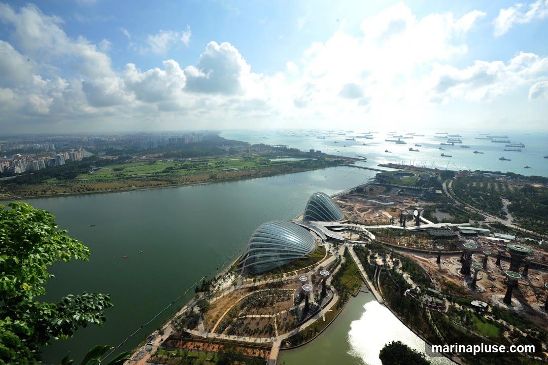 An aerial view of Gardens by the Bay in Singapore, showcasing its iconic Supertree Grove and the Cloud Forest and Flower Dome conservatories. The bay is filled with numerous cargo ships, and the city skyline is visible in the distance.