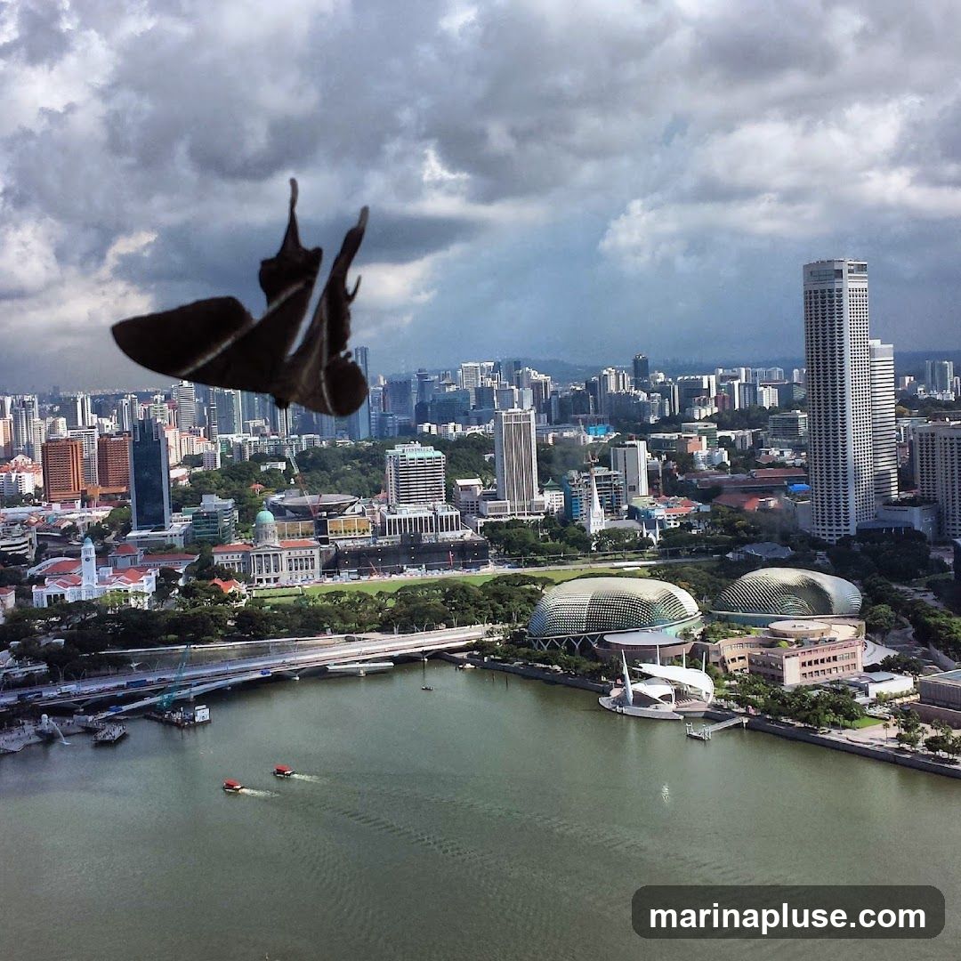 An aerial view of a dense cityscape with numerous skyscrapers and buildings. In the foreground, a body of water with two small boats is visible. A bridge spans the water. In the upper portion of the image, the silhouette of a moth is prominently displayed against a cloudy sky, obscuring a portion of the city.