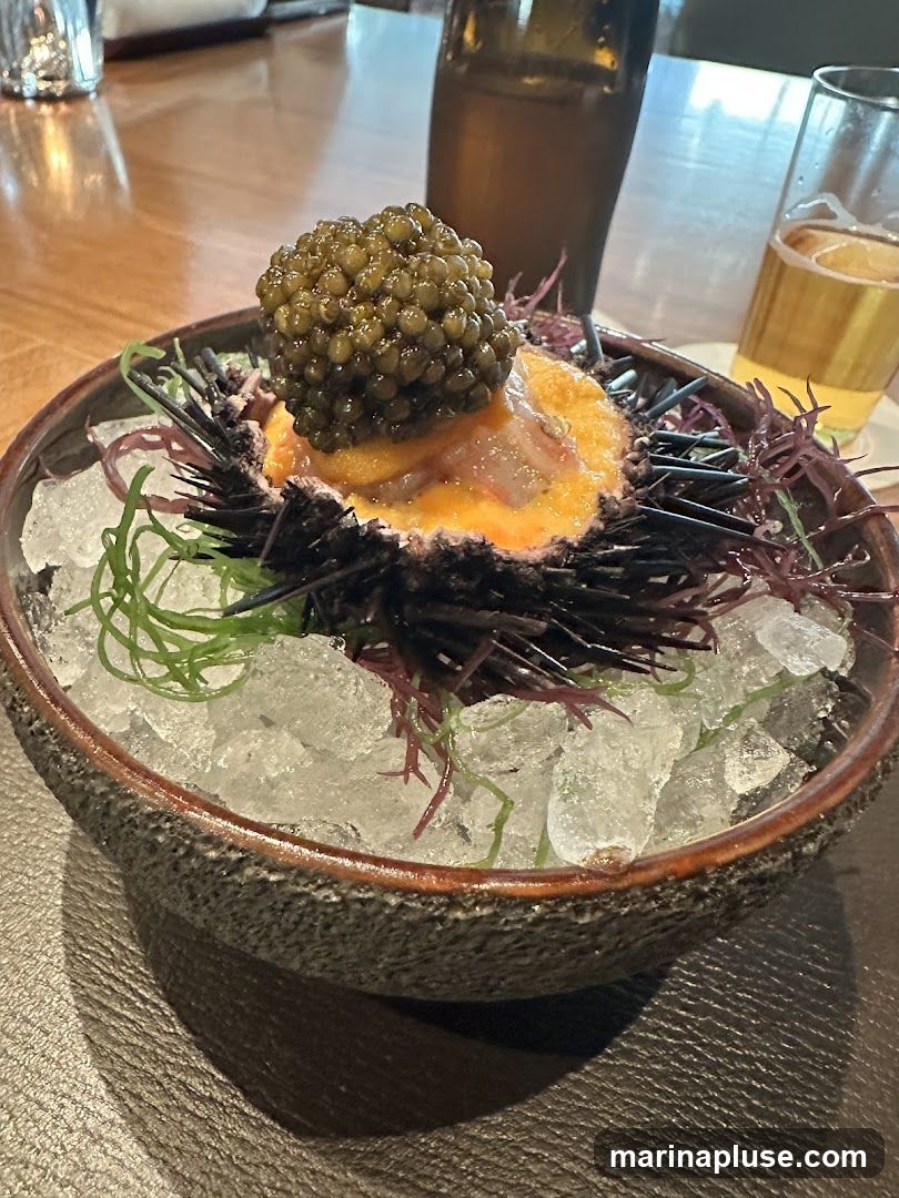 A close-up shot of a sea urchin served on a bed of crushed ice, topped with a generous portion of caviar. The sea urchin's spiny exterior is visible, with its orange gonads exposed and topped with dark, glistening caviar. Green and red seaweed strands are interspersed with the ice. In the background, two glasses, one with a dark liquid and another with a light-colored beverage, are partially visible on a wooden table.