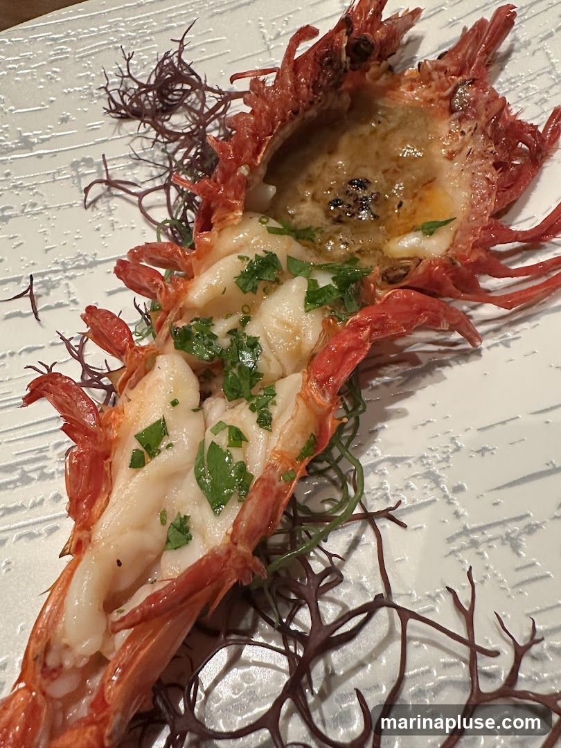 A close-up, overhead shot of a cooked langoustine served on a textured white plate. The langoustine is split lengthwise, revealing its white meat, which is garnished with chopped green herbs. The shell is a vibrant red. The dish is presented with dark red and green seaweed-like garnishes. The plate has a subtle, embossed pattern.