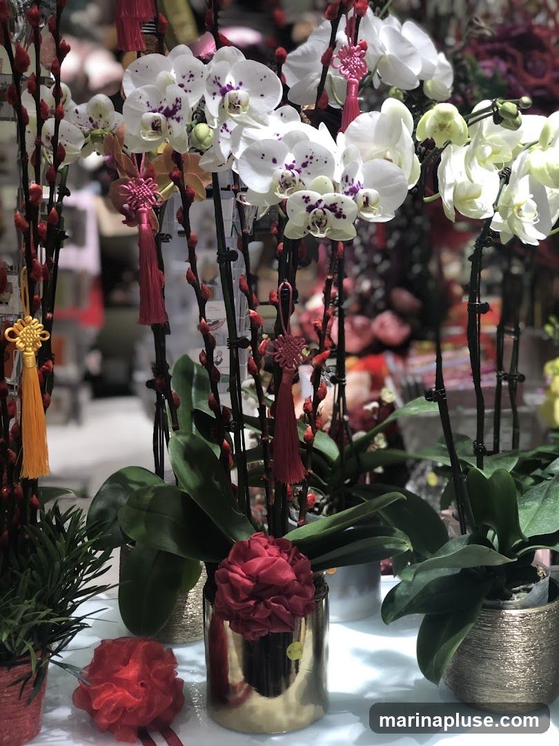Blossom Floral Design