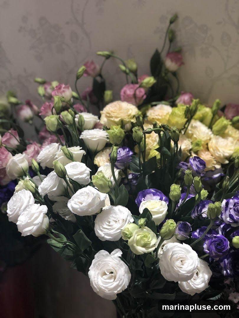 A close-up shot of a large bouquet of Eustoma flowers in various colors, including white, pink, yellow, and purple. The flowers are in different stages of bloom, with some fully open and others still in bud. The background features a textured wallpaper with a subtle floral pattern.