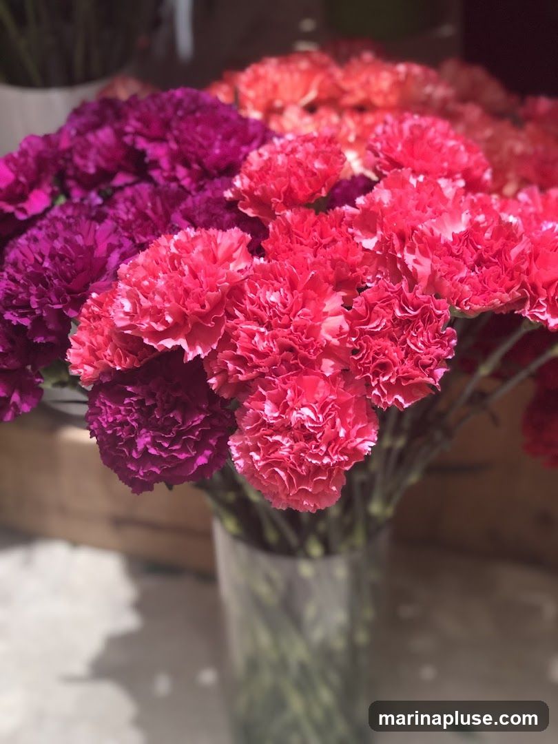 A close-up shot of a bouquet of carnations in shades of pink and purple, displayed in a clear glass vase. The flowers are densely packed and have ruffled petals. The background is blurred, showing a wooden surface and a light-colored floor with shadows.