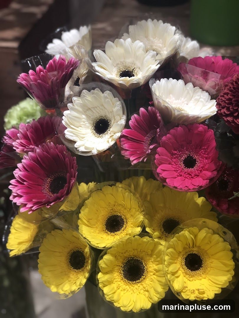 A close-up, overhead view of several bouquets of gerbera daisies. The flowers are in various colors including bright yellow, deep pink, and white. Each flower has a dark center and is individually wrapped in clear plastic. Some green foliage is visible in the background.