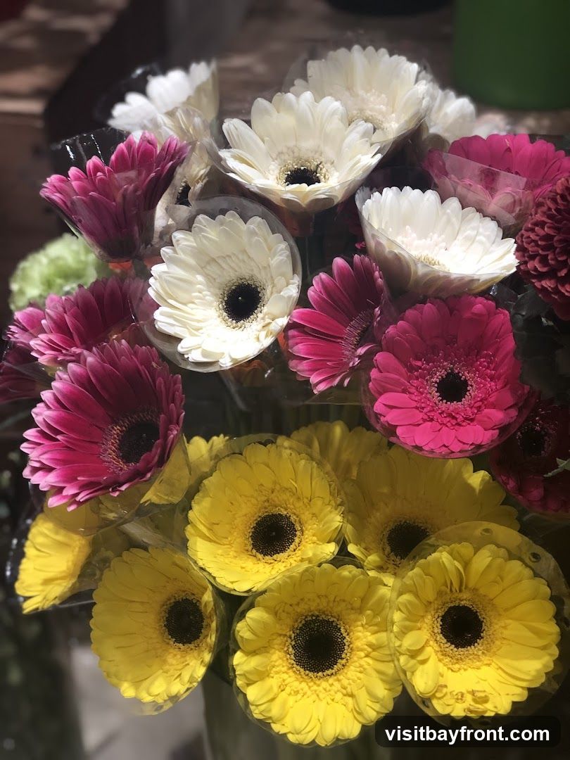 A close-up, overhead view of several bouquets of gerbera daisies. The flowers are in various colors including bright yellow, deep pink, and white. Each flower has a dark center and is individually wrapped in clear plastic. Some green foliage is visible in the background.