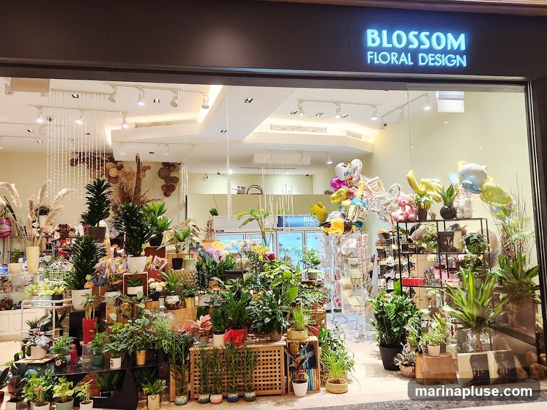 The exterior of a flower shop called Blossom Floral Design. The shop front features a large display of various plants and flowers, along with balloons and teddy bears. The signage for Blossom Floral Design is visible above the entrance.