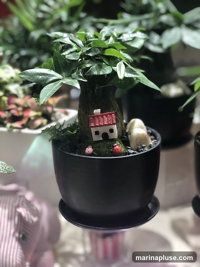 A close-up of a potted plant with a miniature house, ladybugs, and stones. The plant has lush green leaves and is in a black pot. In the background, other plants and decorative items are visible.