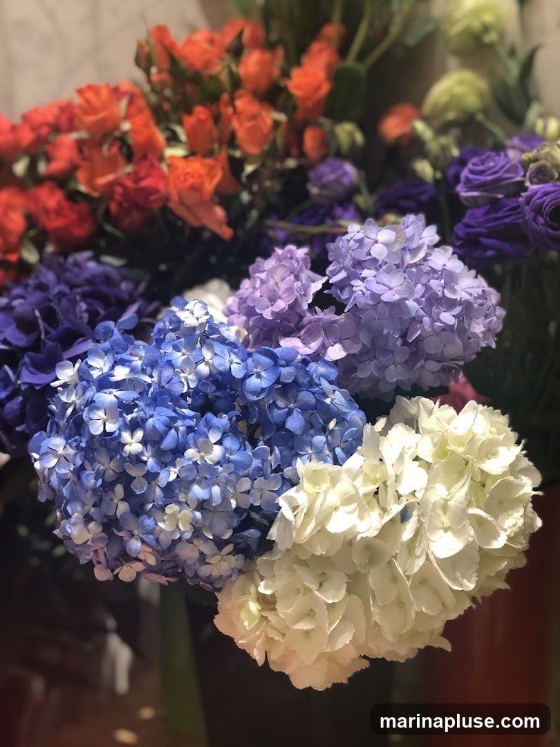 A close-up shot showcases a lush arrangement of flowers, featuring large, fluffy hydrangeas in shades of blue, purple, and white. Interspersed among them are clusters of small, vibrant orange and red roses. The background is softly blurred, drawing full attention to the colorful floral display.