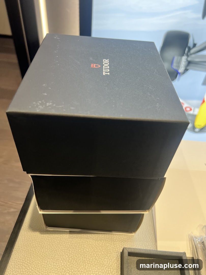 A black Tudor watch box is stacked on top of another box. The Tudor logo and name are visible on the top box.