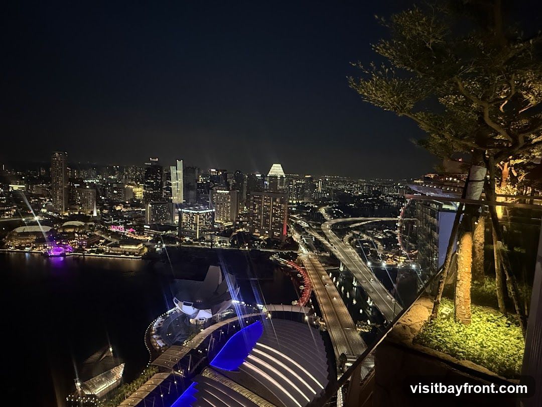 A panoramic view of a brightly lit cityscape at night, seen from a high vantage point. The image captures numerous skyscrapers, illuminated bridges, and a body of water. In the foreground, there is a balcony area with trees and plants, suggesting an outdoor seating or viewing area of a restaurant or bar. The city lights create a vibrant and dynamic atmosphere.