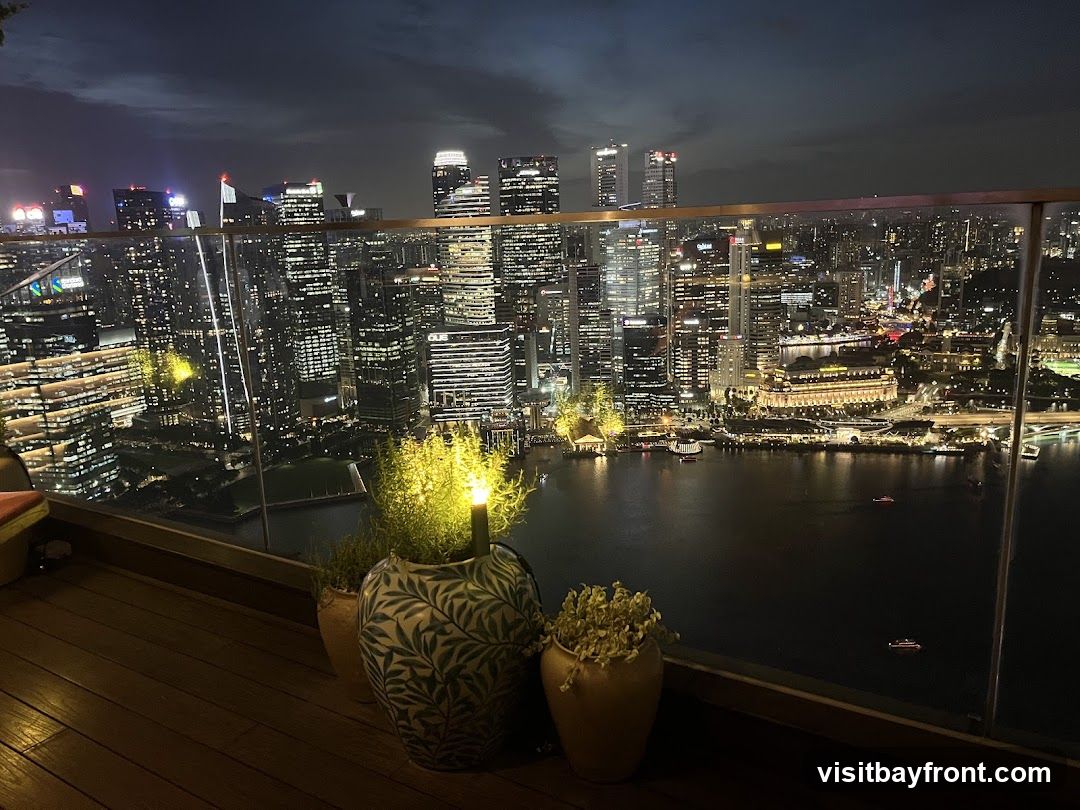 A nighttime view of a city skyline from a rooftop vantage point. The foreground features a wooden deck with potted plants, including a large decorative pot with a green leaf pattern and a smaller pot with dried foliage. A glass railing separates the deck from the expansive view of illuminated skyscrapers and a body of water. Boats are visible on the water, and the city lights create a vibrant, glittering panorama against the dark sky.