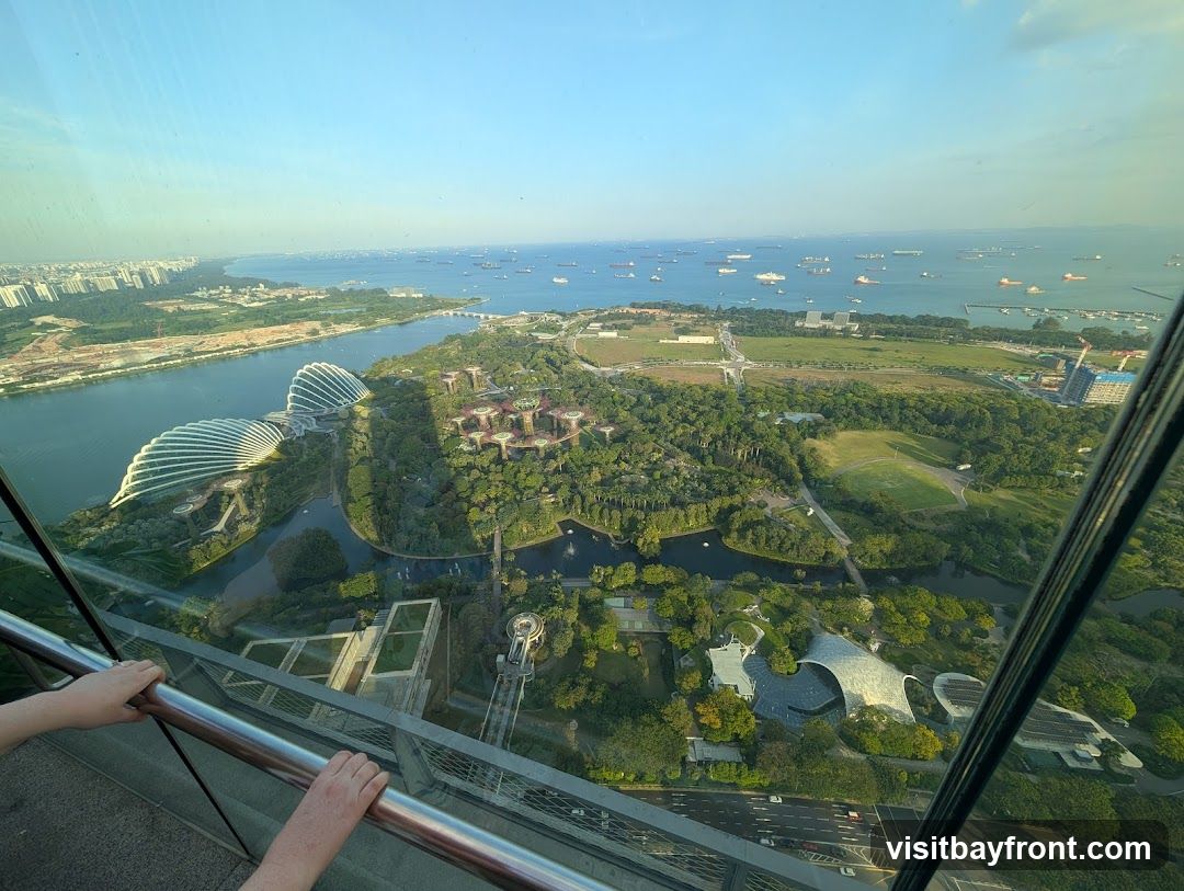 An aerial view of Gardens by the Bay in Singapore, with the iconic Supertree Grove and Cloud Forest domes visible. The image is taken from a high vantage point, likely a skyscraper, with hands resting on a railing in the foreground. The Singapore Strait, dotted with numerous ships, stretches across the horizon.