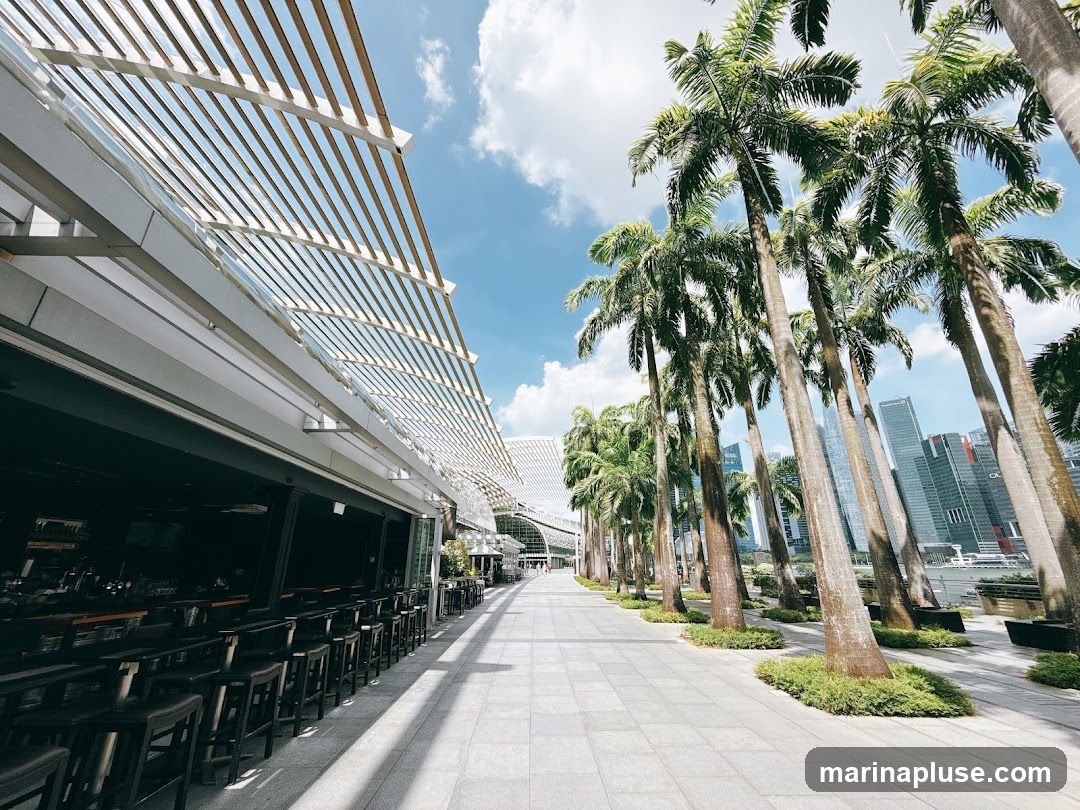An outdoor seating area with numerous bar stools and tables is visible along a walkway lined with tall palm trees. In the background, a modern city skyline with skyscrapers can be seen under a bright, cloudy sky. The area appears to be part of a waterfront promenade or a commercial district.