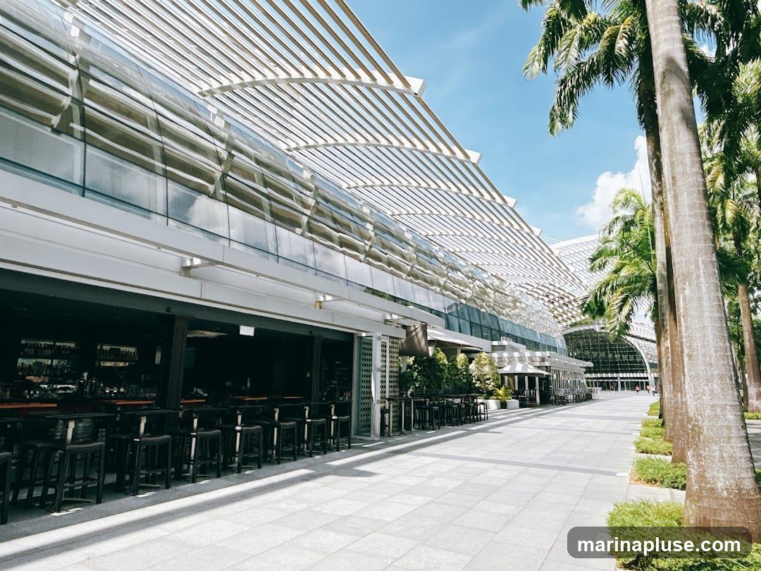 An outdoor seating area with tables and chairs is set up in front of a modern building with a glass facade and a slatted roof. Palm trees line the walkway, casting shadows on the tiled ground. The scene is bright and sunny with a clear blue sky.