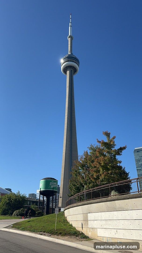 A view of the CN Tower in Toronto, Canada, under a clear blue sky. To the left of the tower, a green water tower with the "Steam Whistle" logo is visible. Trees with autumn foliage are also present in the scene, along with a concrete walkway and railing.