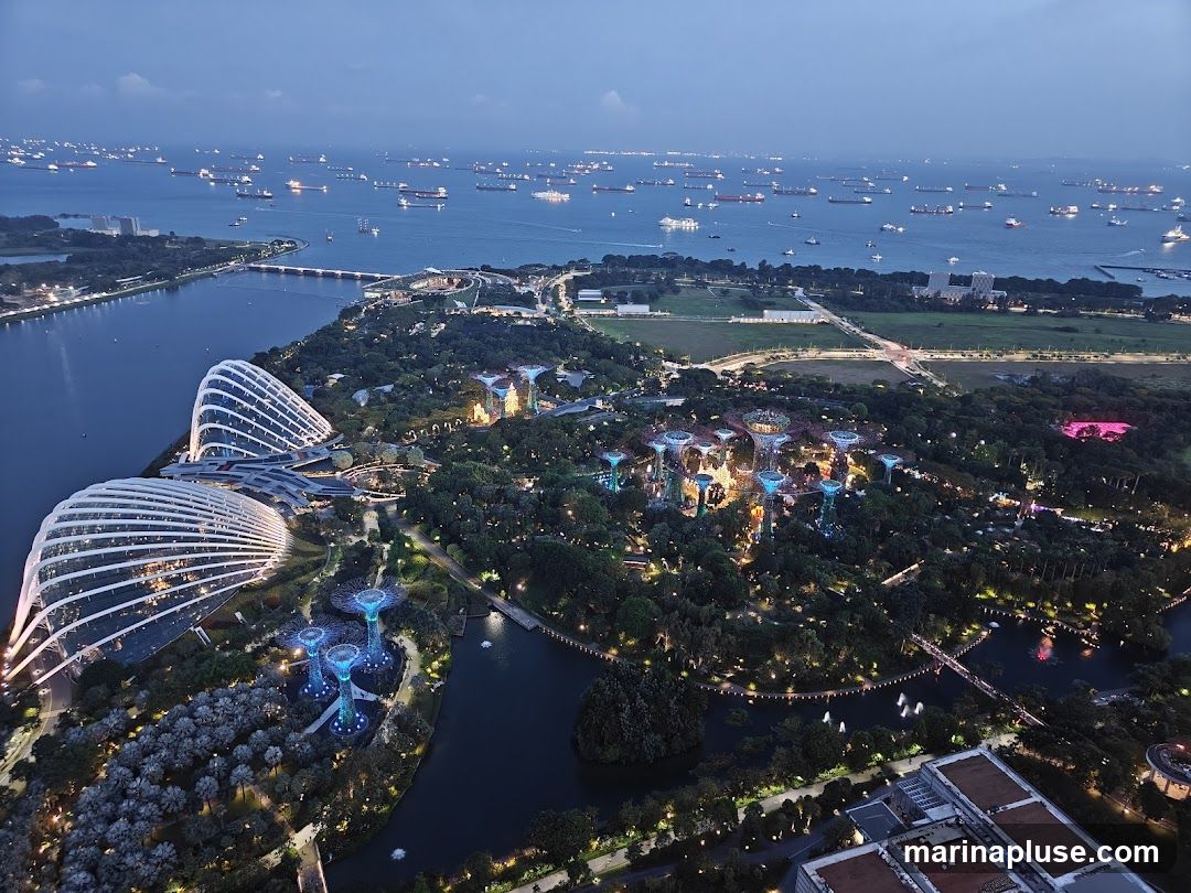 An aerial view of Gardens by the Bay in Singapore at dusk. The iconic Supertree Grove and the Cloud Forest and Flower Dome conservatories are illuminated. The Singapore Strait, filled with numerous cargo ships, is visible in the background.