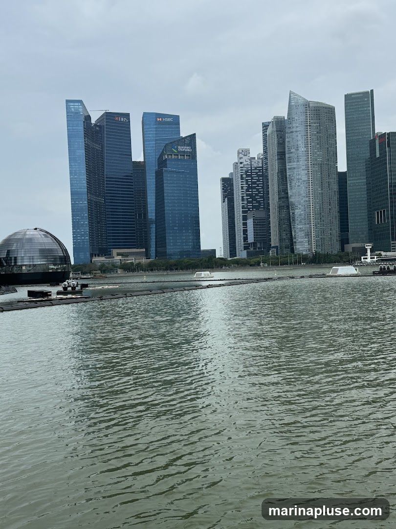 A view of the Singapore skyline with modern skyscrapers and a body of water in the foreground. The buildings include those with logos for DBS, HSBC, and Standard Chartered. A domed structure is visible on the left.