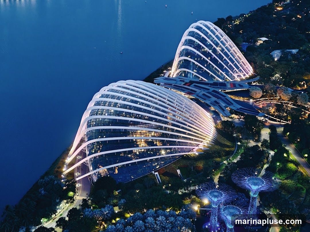 An aerial view of Gardens by the Bay in Singapore at dusk. The iconic Supertree Grove is illuminated with blue lights, and the large, domed conservatories, the Cloud Forest and Flower Dome, are lit from within, showcasing their unique architectural designs. The surrounding landscape is lush with greenery, and the calm waters of the bay are visible to the left.