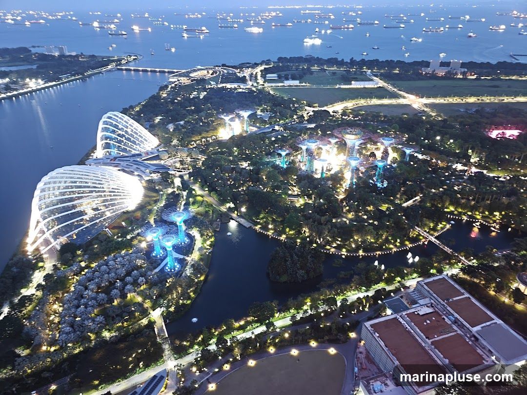 An aerial view of Gardens by the Bay in Singapore at dusk. The iconic Supertree Grove is illuminated with blue lights, and the large conservatories, Cloud Forest and Flower Dome, are brightly lit. The surrounding landscape is a lush garden with pathways and water features. In the background, numerous cargo ships are visible in the sea.