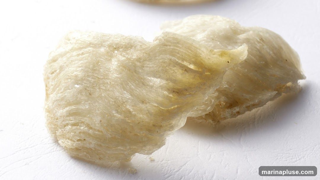 Dragon Brand Bird's Nest
