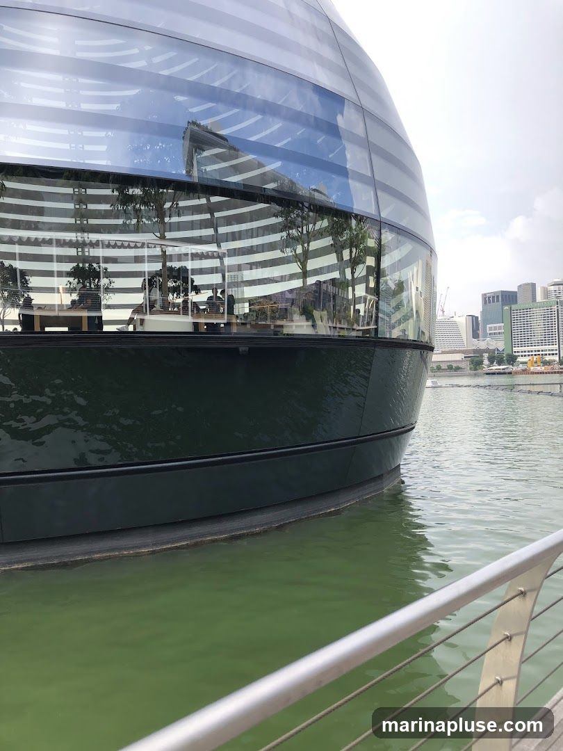 A contemporary, spherical glass building with horizontal blinds is reflected in the green water. The building appears to be a retail store or public space, with people visible inside. In the background, a cityscape with modern skyscrapers can be seen. A metal railing in the foreground suggests a walkway or viewing platform.