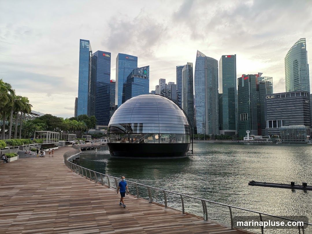 A futuristic glass dome building sits on the water, reflecting the surrounding skyscrapers and cloudy sky. A wooden boardwalk curves along the waterfront, with a lone figure walking on it. Palm trees and other greenery are visible on the left, with a cityscape in the background.