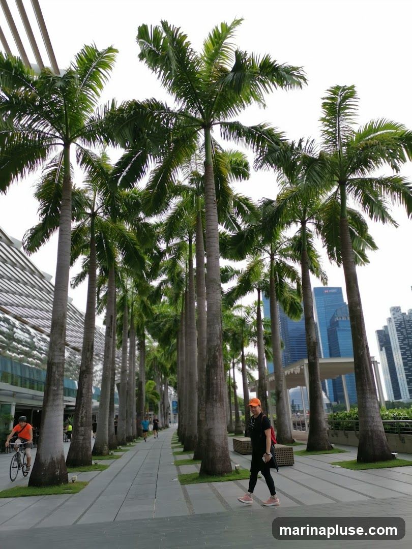 A wide shot of a paved walkway lined with tall palm trees. People are seen walking and cycling along the path. In the background, a modern city skyline with tall buildings is visible under a bright sky. The architecture on the left appears to be a contemporary building with a glass facade.