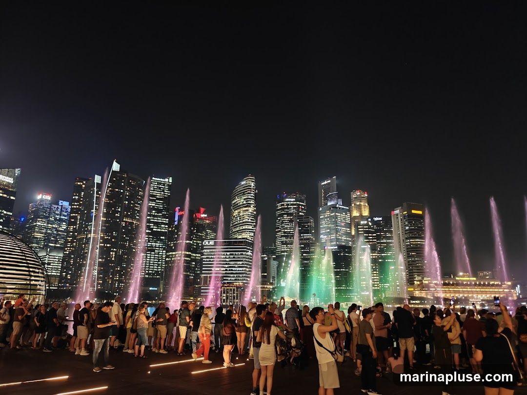 A crowd of people watches a nighttime fountain show with colorful lights against a backdrop of illuminated skyscrapers. The fountains spray water high into the air, creating a dynamic visual display. The cityscape features modern architecture and bright lights, suggesting an urban entertainment district.