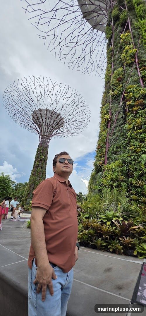 A man in a brown polo shirt and blue jeans stands in front of the Supertrees at Gardens by the Bay, Singapore. The Supertrees are large, tree-like vertical gardens. The sky is cloudy. Other visitors are visible in the background.