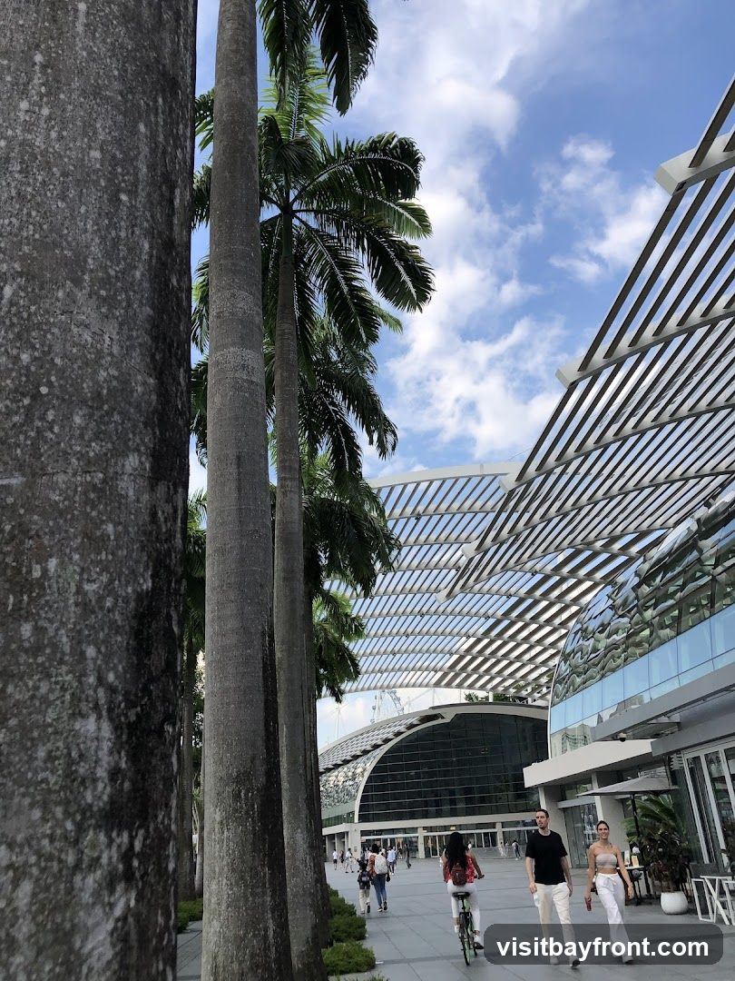 A sunny day with a blue sky and scattered clouds. Tall palm trees line a paved walkway where several people are seen walking and one person is cycling. In the background, a large, modern building with a curved glass facade and a slatted roof structure is visible.