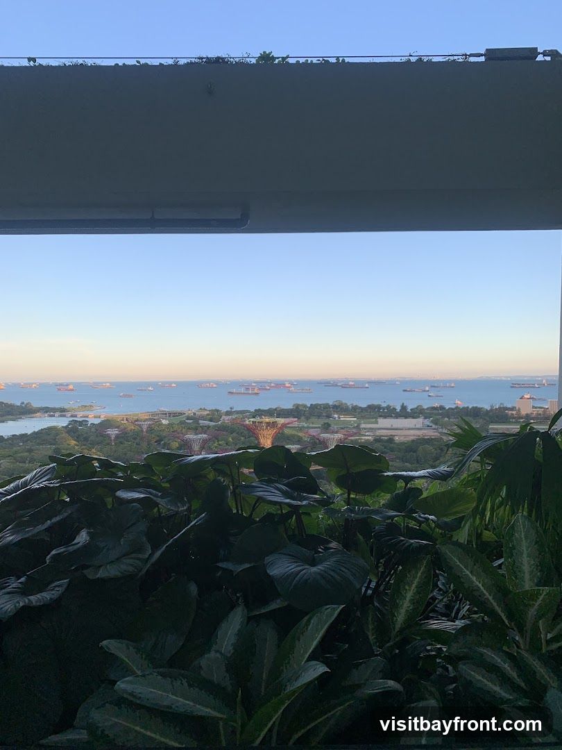 A panoramic view of the Singapore skyline is seen from a high vantage point, framed by lush green foliage in the foreground. The iconic Supertree Grove at Gardens by the Bay is visible, along with other structures. The Singapore Strait is dotted with numerous cargo ships, suggesting a busy port. The sky is clear and blue, with a hint of sunset colors near the horizon.