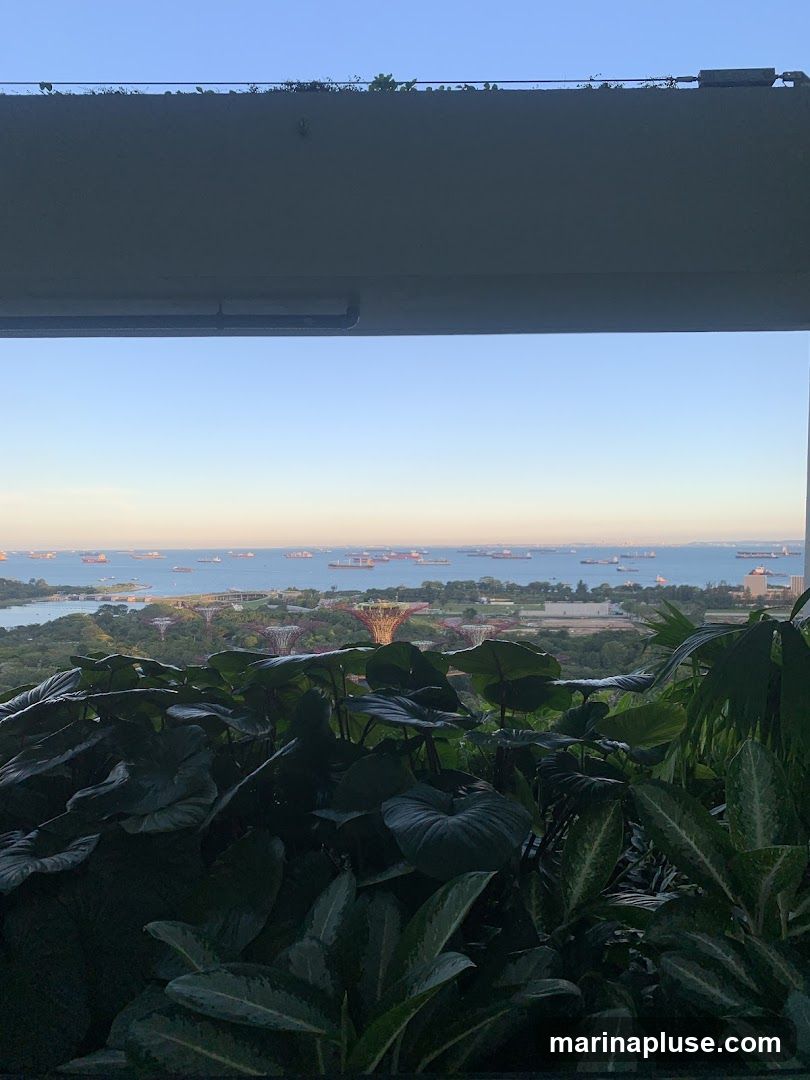A panoramic view of the Singapore skyline is seen from a high vantage point, framed by lush green foliage in the foreground. The iconic Supertree Grove at Gardens by the Bay is visible, along with other structures. The Singapore Strait is dotted with numerous cargo ships, suggesting a busy port. The sky is clear and blue, with a hint of sunset colors near the horizon.