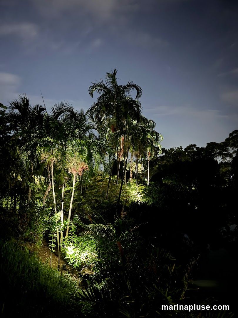 A nighttime scene featuring several palm trees and lush vegetation illuminated by spotlights. The sky above is dark with some clouds and a faint star or planet visible.