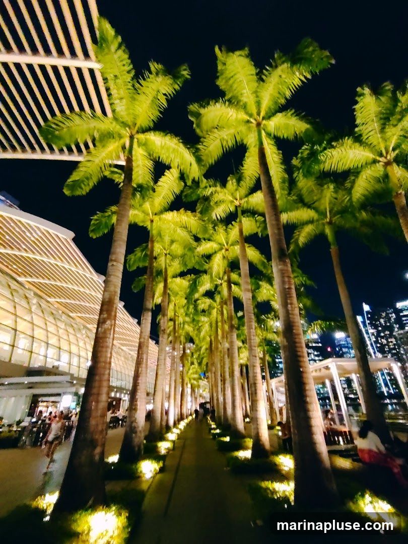 A pathway lined with tall palm trees illuminated by ground lights at night. In the background, a modern building with a glass facade and a row of outdoor seating areas with people are visible. The city skyline can be seen in the distance.