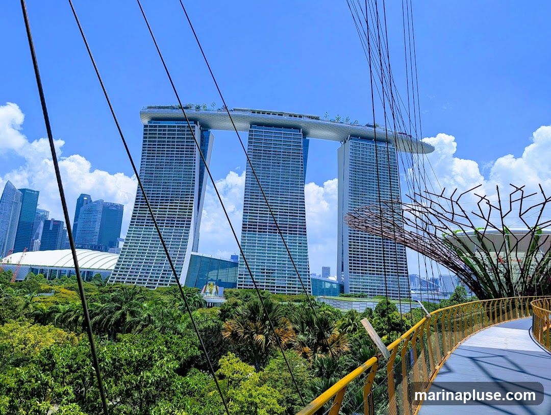 A view of the Marina Bay Sands hotel and its iconic SkyPark, with the Supertree Grove and other gardens in the foreground. The image is taken from a walkway, with cables crisscrossing the frame. The sky is blue with scattered clouds.