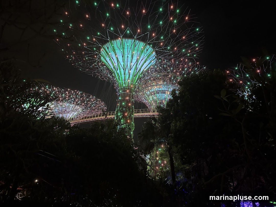 A nighttime view of the Supertree Grove at Gardens by the Bay, Singapore. The iconic structures are illuminated with colorful lights, primarily green and pink, creating a magical atmosphere. A skywalk connects some of the Supertrees. Lush dark foliage is visible in the foreground, silhouetted against the illuminated trees.