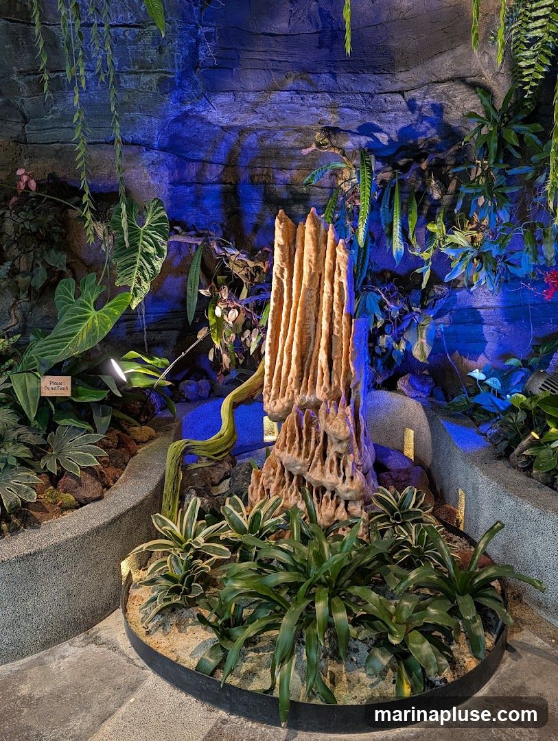 A lush indoor garden display featuring a central rock formation resembling stalactites, surrounded by various tropical plants. The display is illuminated with blue and purple lighting, creating a dramatic and atmospheric effect. Hanging vines and large-leafed plants add to the dense foliage. A small sign reads "Please Do Not Touch.".