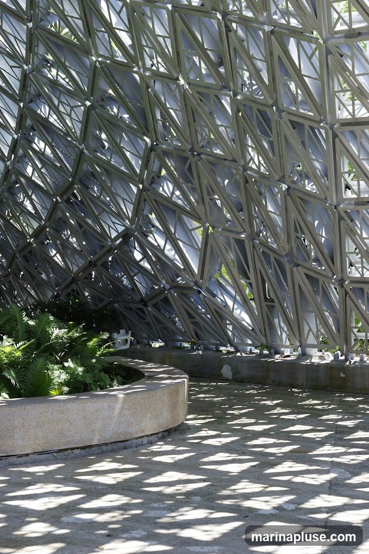 A geodesic dome structure with a complex geometric framework is visible, casting intricate shadows on the concrete ground. Lush green ferns are planted in a curved, stone-like planter in the foreground. The sunlight filters through the dome's structure, creating a dappled light effect.