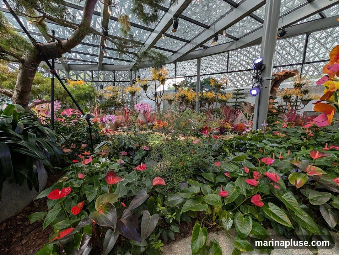 A lush indoor botanical garden display featuring a variety of flowering plants and trees under a geodesic glass roof. In the foreground, vibrant red and pink anthurium flowers with large green leaves dominate. Behind them, a diverse collection of plants with yellow and pink blooms are arranged, some on elevated stands. A large tree with a thick trunk and branches extends from the left side of the frame. The background shows more greenery and decorative elements, with spotlights illuminating parts of the display.