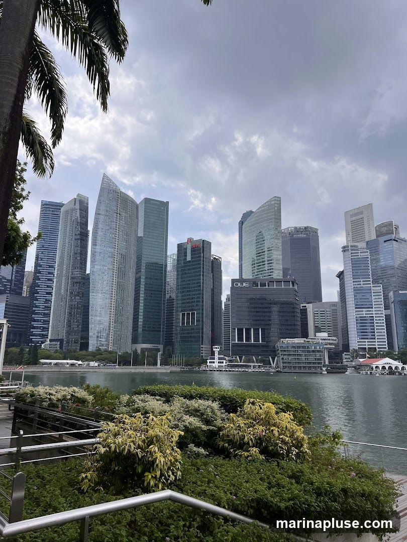 A view of a modern city skyline with numerous skyscrapers, seen across a body of water. In the foreground, there is lush greenery and landscaping, with palm fronds visible in the upper left corner. The sky is overcast with clouds.