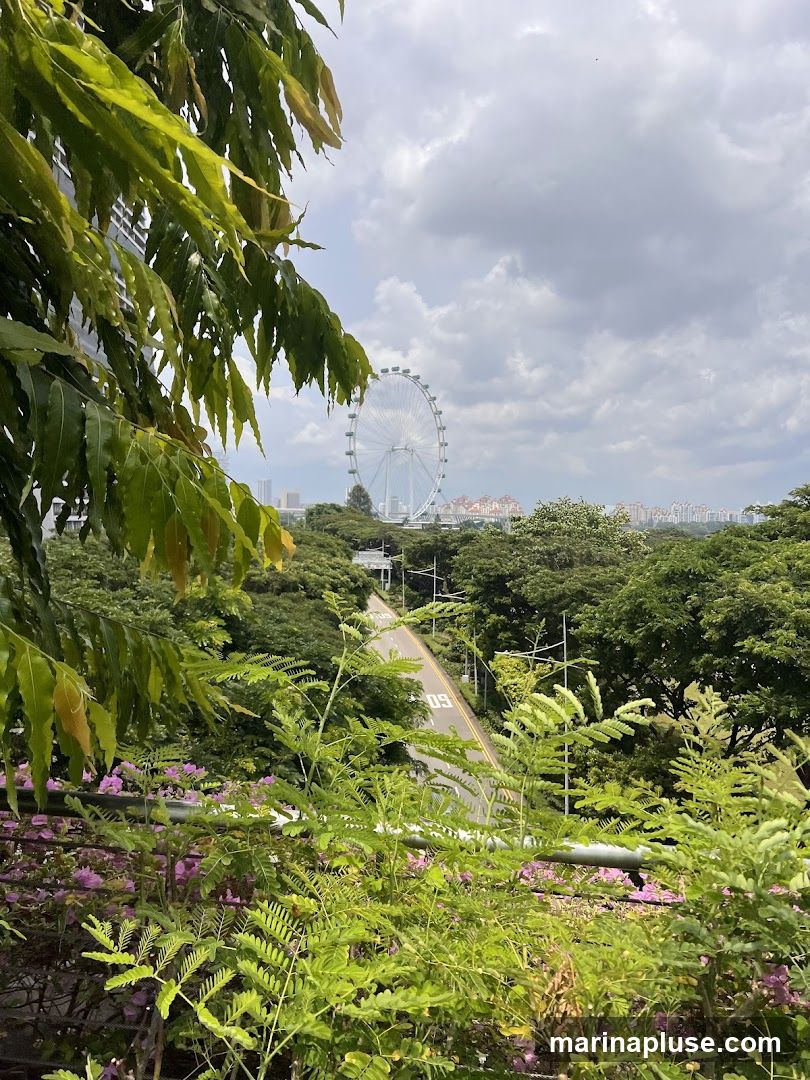 A large Ferris wheel is visible in the distance, set against a cloudy sky. The wheel is surrounded by a cityscape and lush green trees. In the foreground, vibrant green foliage and delicate pink flowers create a natural frame for the scene. A road with speed limit signs is visible winding through the trees.