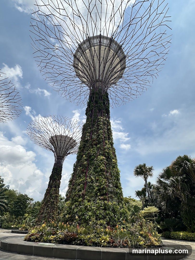 A low-angle shot of the Supertrees at Gardens by the Bay in Singapore. The Supertrees are vertical gardens with a trunk-like structure covered in plants, topped with a large, umbrella-like canopy. The sky is blue with scattered clouds. Palm trees and other lush vegetation are visible in the background.