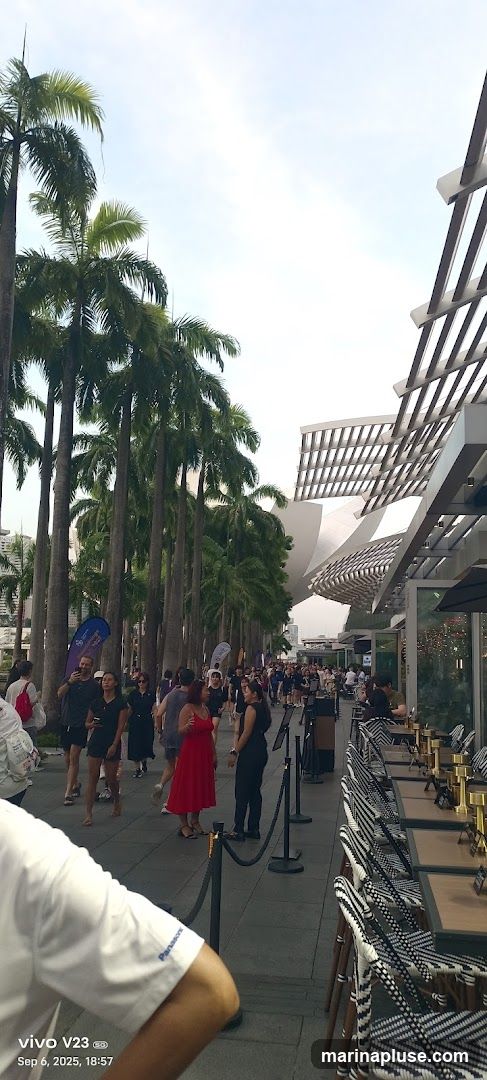 An outdoor walkway lined with palm trees leads to a modern building with a distinctive roof structure. To the right, an outdoor dining area is set up with tables and chairs. People are walking along the path, and some are seated at the tables. The sky is bright and overcast.