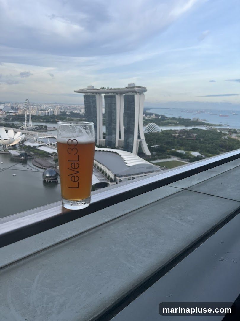 A glass of beer with the Singapore skyline in the background. The glass has the text "LEVEL33" printed on it. The skyline includes the Marina Bay Sands hotel and other buildings.