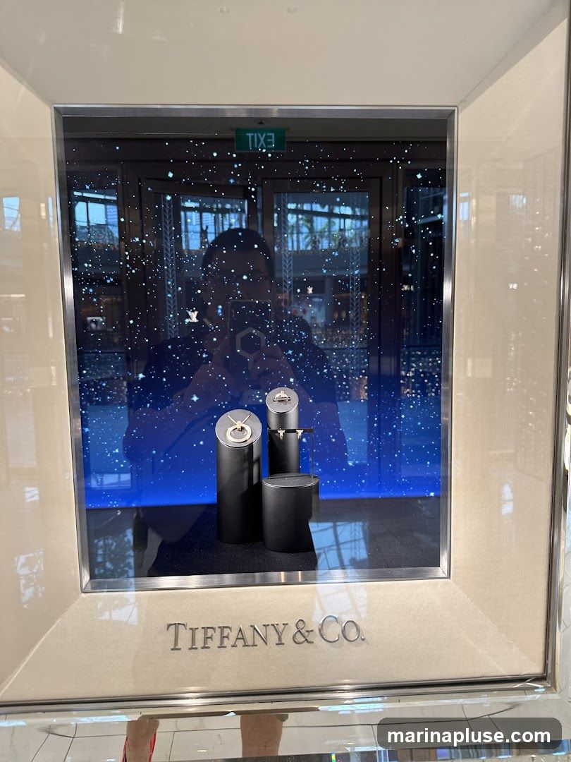A display window for Tiffany & Co. features jewelry on stands against a starry night backdrop. The Tiffany & Co. logo is visible below the display. Reflections of a person taking the photo and an 'EXIT' sign are visible in the glass.