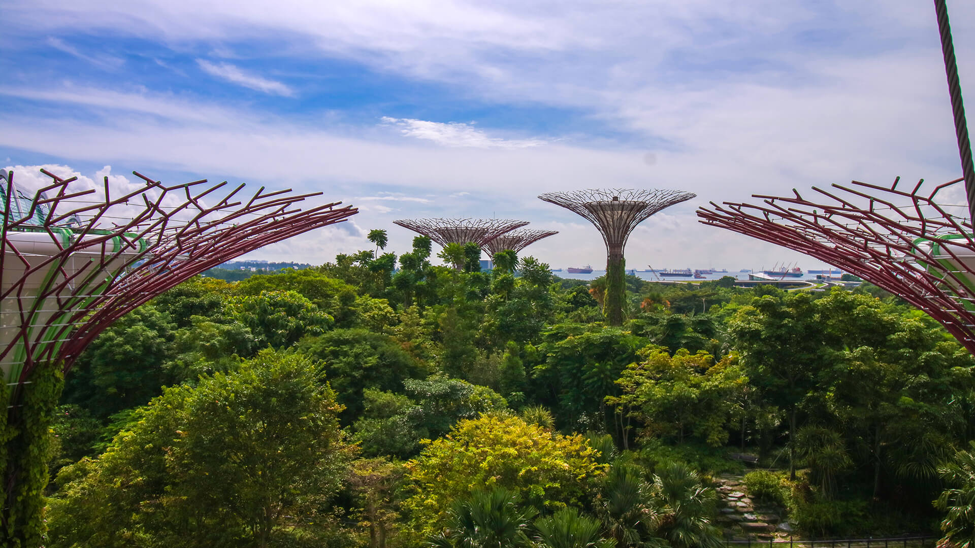 Looking out across Gardens by the Bay from the Supertrees toward the port