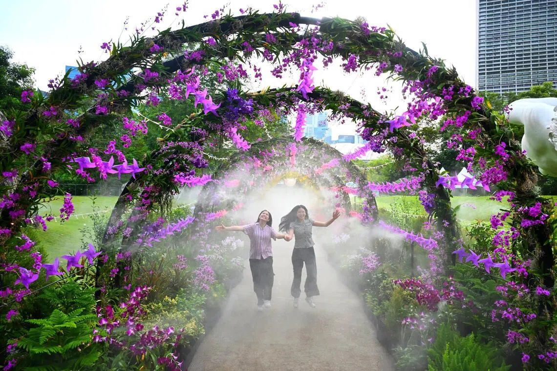 Floral Vortex tunnel with orchids