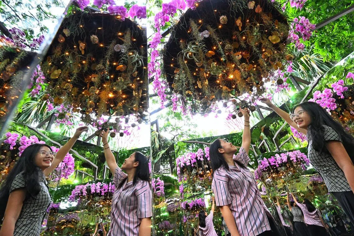 Floral Mirror Maze with chandeliers