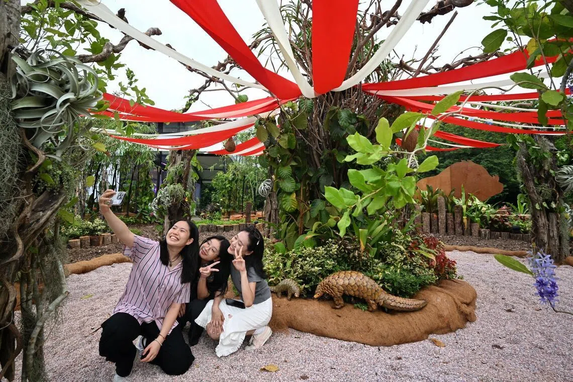Nature's Carousel Play Garden